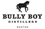 BullyBoy-95